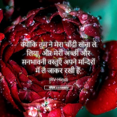 Picture 05 - योएल 3:5 HINIRV - क्योंकि तुम ने - Bible Verse Picture