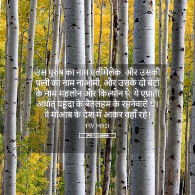 Picture 05 - रूत 1:2 HINIRV - उस पुरुष का नाम - Bible Verse Picture