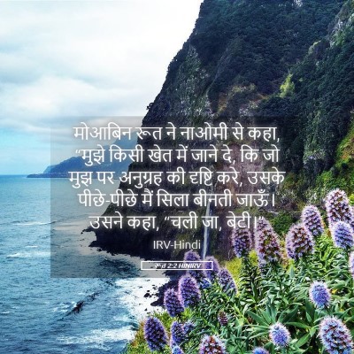 Picture 05 - रूत 2:2 HINIRV - मोआबिन रूत ने - Bible Verse Picture