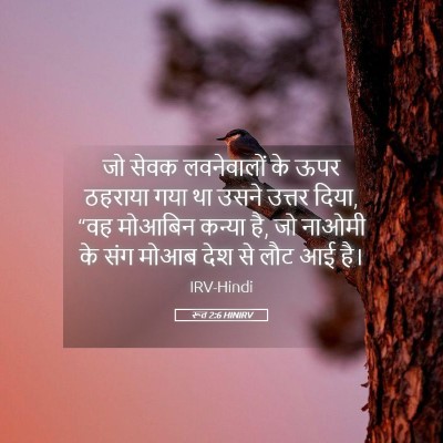 Picture 05 - रूत 2:6 HINIRV - जो सेवक लवनेवालों - Bible Verse Picture