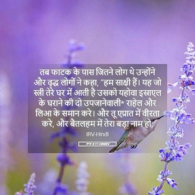 Picture 05 - रूत 4:11 HINIRV - तब फाटक के पास - Bible Verse Picture