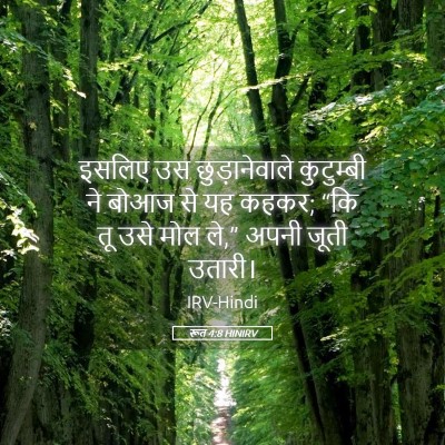 Picture 05 - रूत 4:8 HINIRV - इसलिए उस - Bible Verse Picture