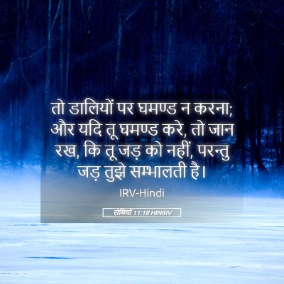 Picture 05 - रोमियों 11:18 HINIRV - तो डालियों पर - Bible Verse Picture