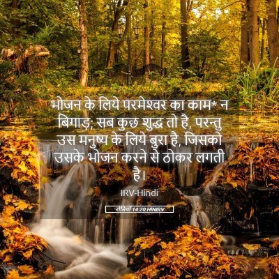 Picture 05 - रोमियों 14:20 HINIRV - भोजन के लिये - Bible Verse Picture