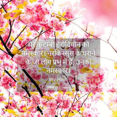 Picture 05 - रोमियों 16:11 HINIRV - मेरे कुटुम्बी - Bible Verse Picture