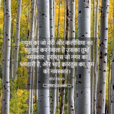 Picture 05 - रोमियों 16:23 HINIRV - गयुस का जो मेरी और - Bible Verse Picture