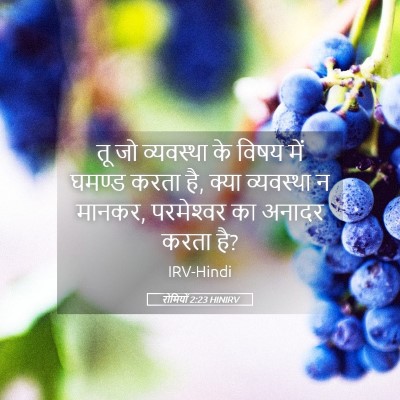 Picture 05 - रोमियों 2:23 HINIRV - तू जो व्यवस्था के - Bible Verse Picture