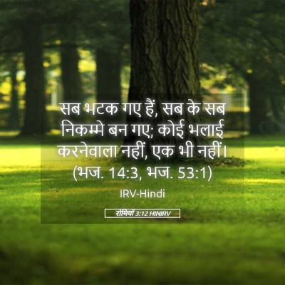 Picture 05 - रोमियों 3:12 HINIRV - सब भटक गए हैं, सब के - Bible Verse Picture