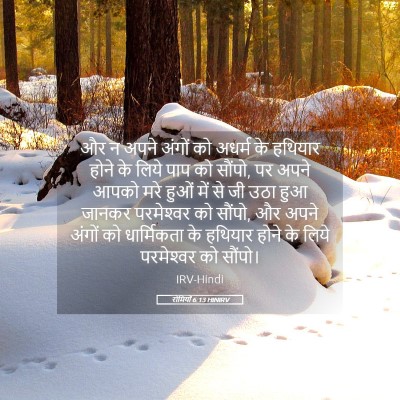 Picture 05 - रोमियों 6:13 HINIRV - और न अपने अंगों को - Bible Verse Picture