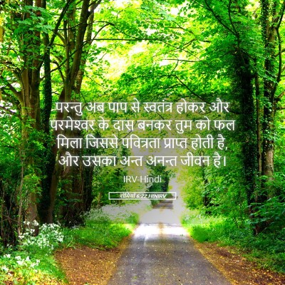 Picture 05 - रोमियों 6:22 HINIRV - परन्तु अब पाप से - Bible Verse Picture
