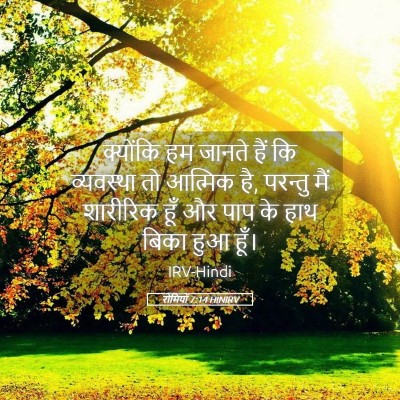 Picture 05 - रोमियों 7:14 HINIRV - क्योंकि हम जानते - Bible Verse Picture
