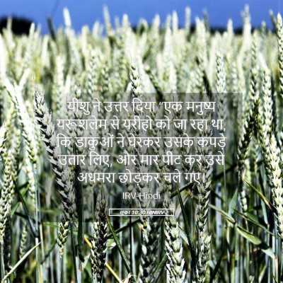 Picture 05 - लूका 10:30 HINIRV - यीशु ने उत्तर दिया - Bible Verse Picture
