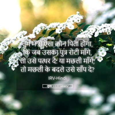 Picture 05 - लूका 11:11 HINIRV - तुम में से ऐसा कौन - Bible Verse Picture