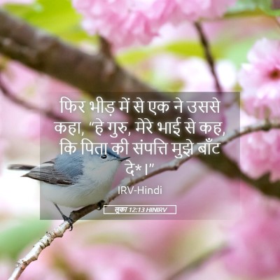Picture 05 - लूका 12:13 HINIRV - फिर भीड़ में से एक - Bible Verse Picture