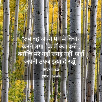 Picture 05 - लूका 12:17 HINIRV - “तब वह अपने मन में - Bible Verse Picture