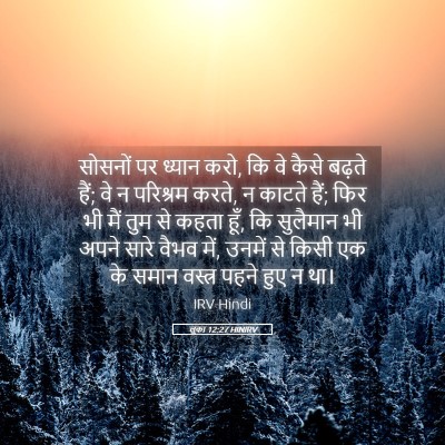 Picture 05 - लूका 12:27 HINIRV - सोसनों पर ध्यान - Bible Verse Picture