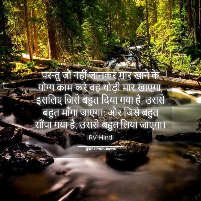 Picture 05 - लूका 12:48 HINIRV - परन्तु जो नहीं - Bible Verse Picture