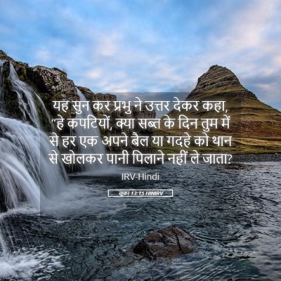 Picture 05 - लूका 13:15 HINIRV - यह सुन कर प्रभु ने - Bible Verse Picture