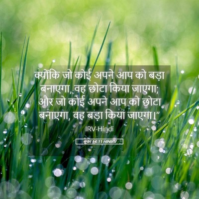 Picture 05 - लूका 14:11 HINIRV - क्योंकि जो कोई - Bible Verse Picture