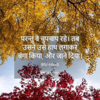 Picture 05 - लूका 14:4 HINIRV - परन्तु वे चुपचाप - Bible Verse Picture
