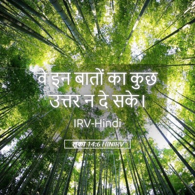 Picture 05 - लूका 14:6 HINIRV - वे इन बातों का कुछ - Bible Verse Picture