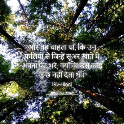 Picture 05 - लूका 15:16 HINIRV - और वह चाहता था, कि - Bible Verse Picture