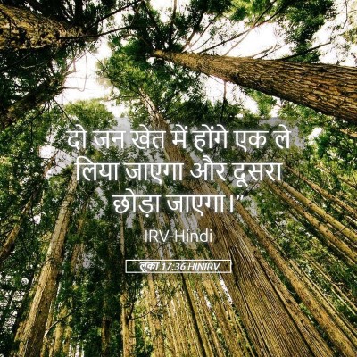 Picture 05 - लूका 17:36 HINIRV - दो जन खेत में होंगे - Bible Verse Picture