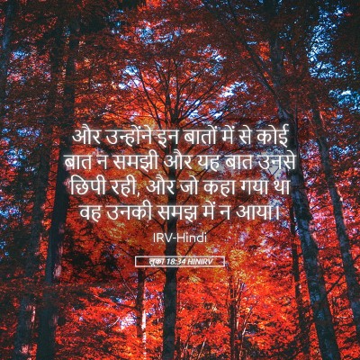 Picture 05 - लूका 18:34 HINIRV - और उन्होंने इन - Bible Verse Picture