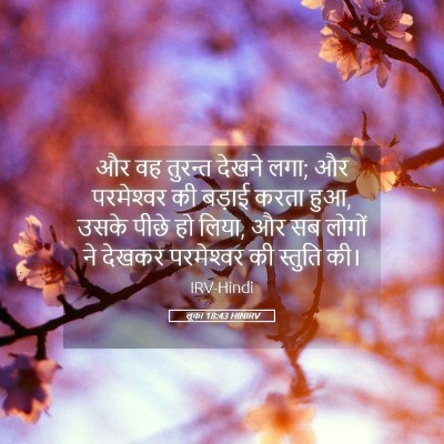 Picture 05 - लूका 18:43 HINIRV - और वह तुरन्त देखने - Bible Verse Picture