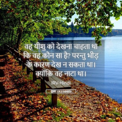 Picture 05 - लूका 19:3 HINIRV - वह यीशु को देखना - Bible Verse Picture