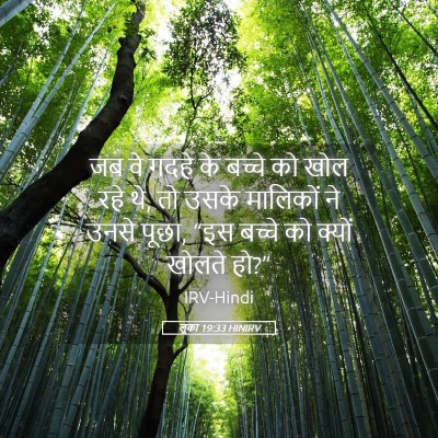 Picture 05 - लूका 19:33 HINIRV - जब वे गदहे के बच्चे - Bible Verse Picture
