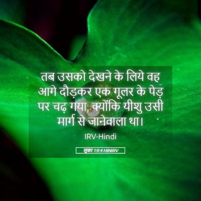 Picture 05 - लूका 19:4 HINIRV - तब उसको देखने के - Bible Verse Picture