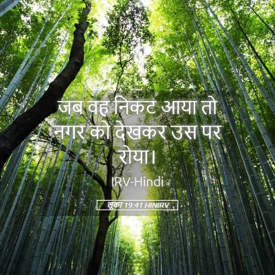 Picture 05 - लूका 19:41 HINIRV - जब वह निकट आया तो - Bible Verse Picture