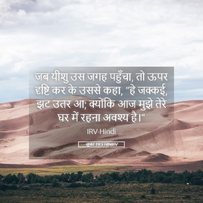 Picture 05 - लूका 19:5 HINIRV - जब यीशु उस जगह - Bible Verse Picture