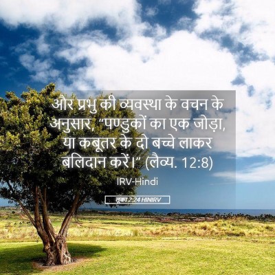 Picture 05 - लूका 2:24 HINIRV - और प्रभु की - Bible Verse Picture
