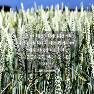 Picture 05 - लूका 2:41 HINIRV - उसके माता-पिता - Bible Verse Picture