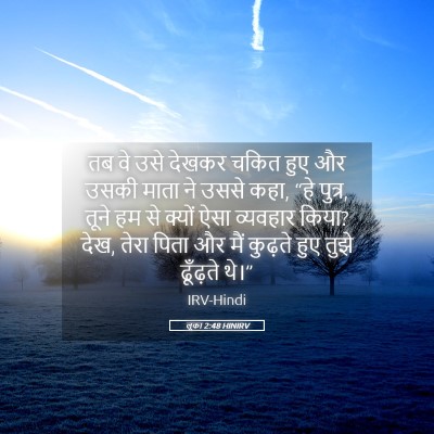 Picture 05 - लूका 2:48 HINIRV - तब वे उसे देखकर - Bible Verse Picture