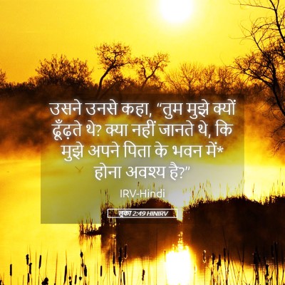 Picture 05 - लूका 2:49 HINIRV - उसने उनसे कहा, “तुम - Bible Verse Picture