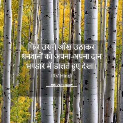 Picture 05 - लूका 21:1 HINIRV - फिर उसने आँख उठाकर - Bible Verse Picture