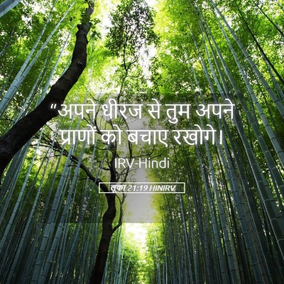 Picture 05 - लूका 21:19 HINIRV - “अपने धीरज से तुम - Bible Verse Picture