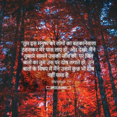 Picture 05 - लूका 23:14 HINIRV - “तुम इस मनुष्य को - Bible Verse Picture