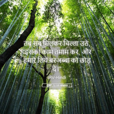 Picture 05 - लूका 23:18 HINIRV - तब सब मिलकर चिल्ला - Bible Verse Picture