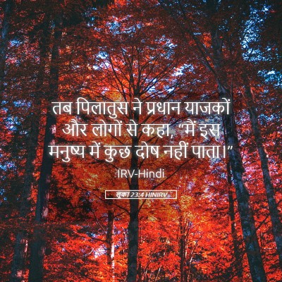 Picture 05 - लूका 23:4 HINIRV - तब पिलातुस ने - Bible Verse Picture