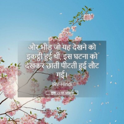 Picture 05 - लूका 23:48 HINIRV - और भीड़ जो यह देखने - Bible Verse Picture