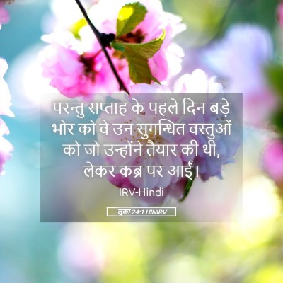 Picture 05 - लूका 24:1 HINIRV - परन्तु सप्ताह के - Bible Verse Picture