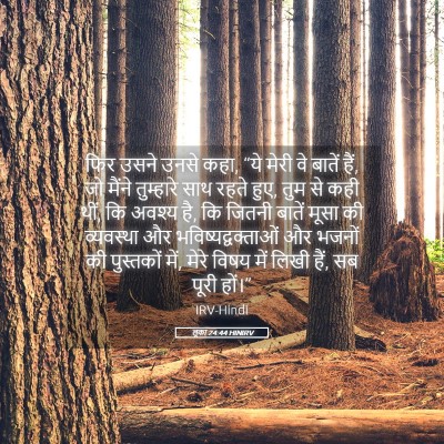 Picture 05 - लूका 24:44 HINIRV - फिर उसने उनसे कहा, - Bible Verse Picture