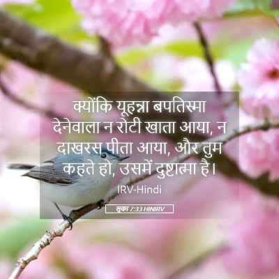 Picture 05 - लूका 7:33 HINIRV - क्योंकि यूहन्ना - Bible Verse Picture