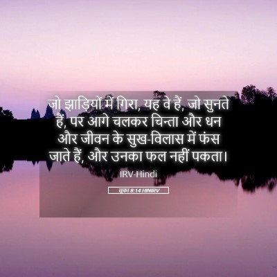 Picture 05 - लूका 8:14 HINIRV - जो झाड़ियों में - Bible Verse Picture