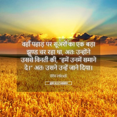 Picture 05 - लूका 8:32 HINIRV - वहाँ पहाड़ पर - Bible Verse Picture