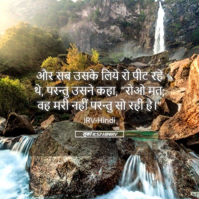 Picture 05 - लूका 8:52 HINIRV - और सब उसके लिये रो - Bible Verse Picture